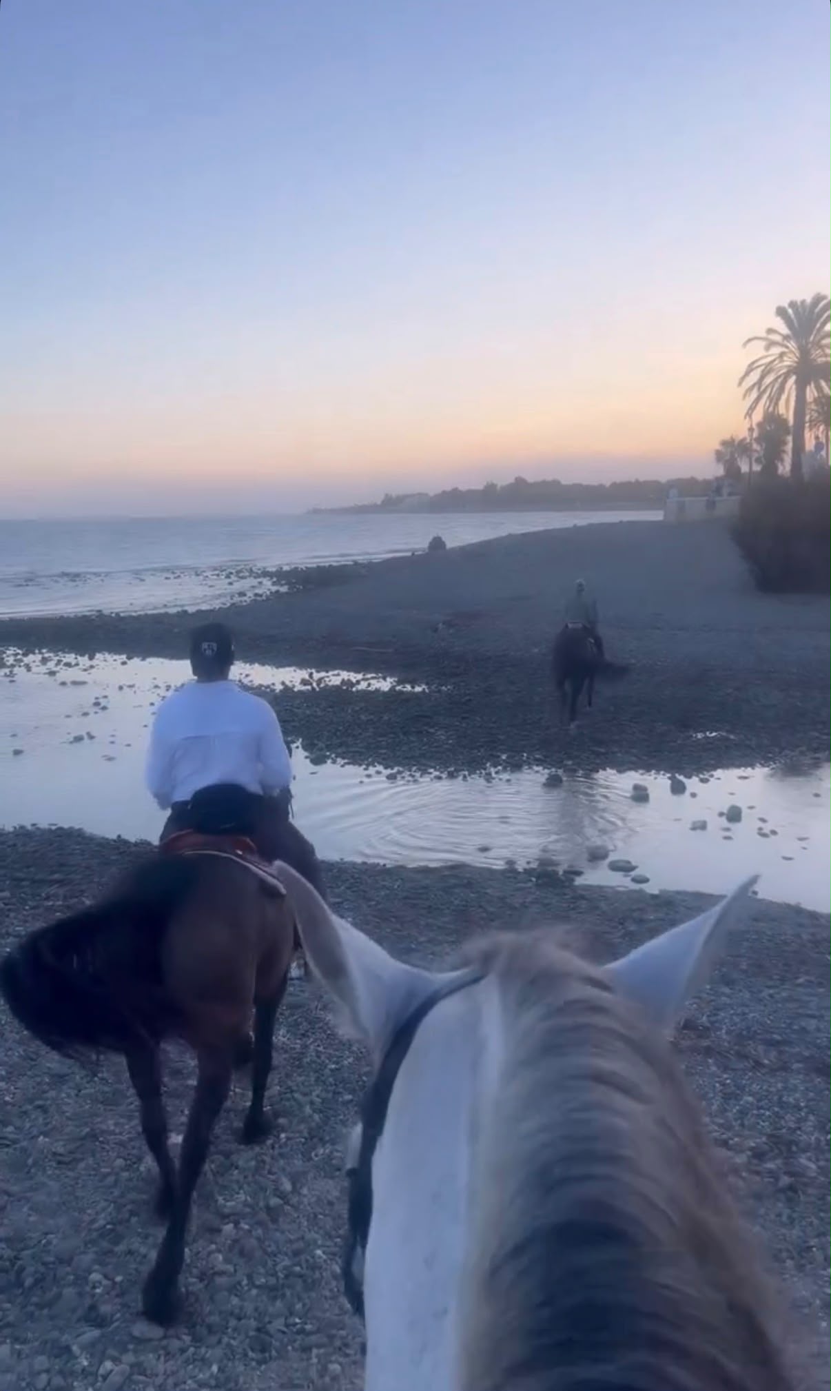 Coastal view from horseback