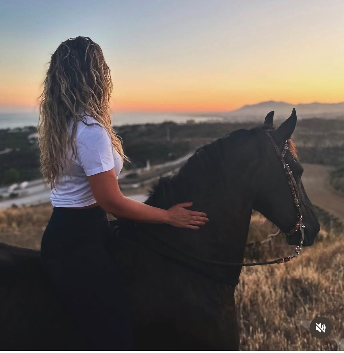 Rider enjoying a quiet sunset view on a black horse