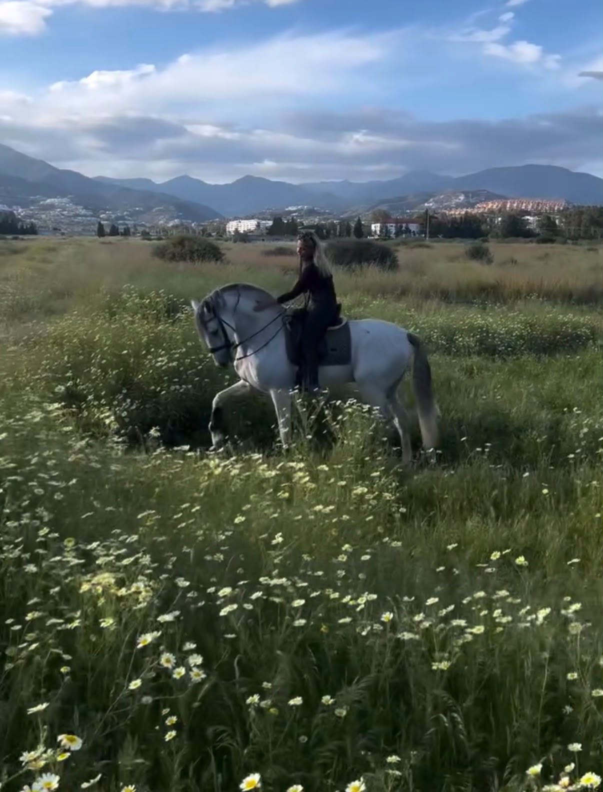 Rider on a grey horse among spring wildflowers near Marbella